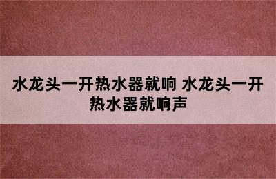 水龙头一开热水器就响 水龙头一开热水器就响声